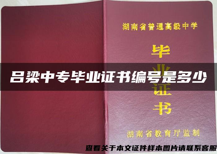 吕梁中专毕业证书编号是多少