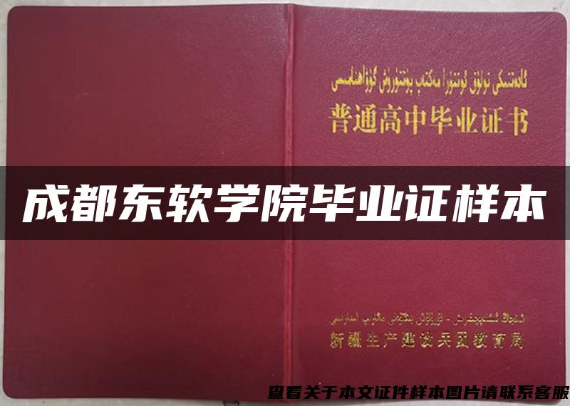 成都东软学院毕业证样本