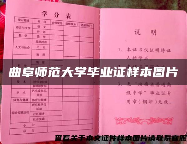 曲阜师范大学毕业证样本图片