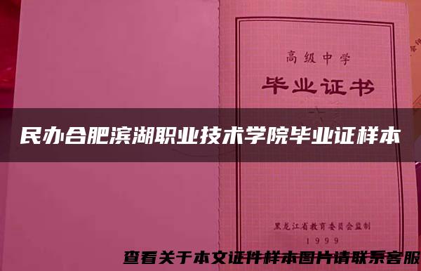 民办合肥滨湖职业技术学院毕业证样本