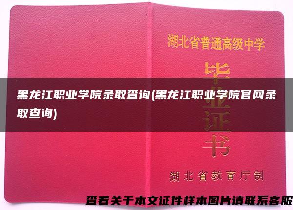 黑龙江职业学院录取查询(黑龙江职业学院官网录取查询)