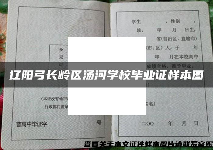 辽阳弓长岭区汤河学校毕业证样本图