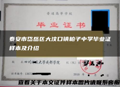 泰安市岱岳区大汶口镇柏子中学毕业证样本及介绍