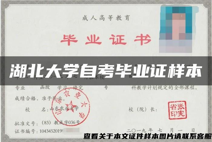 湖北大学自考毕业证样本