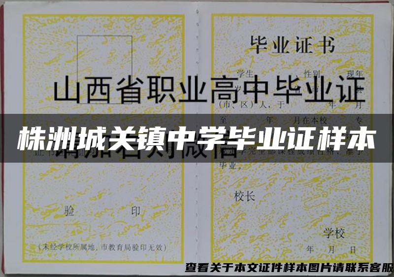 株洲城关镇中学毕业证样本