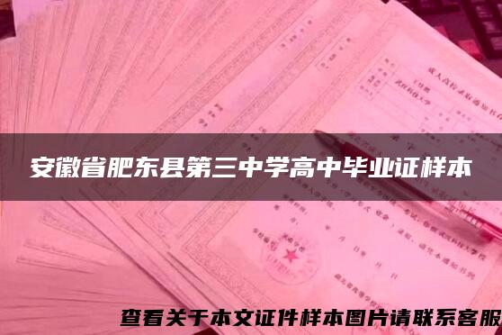 安徽省肥东县第三中学高中毕业证样本