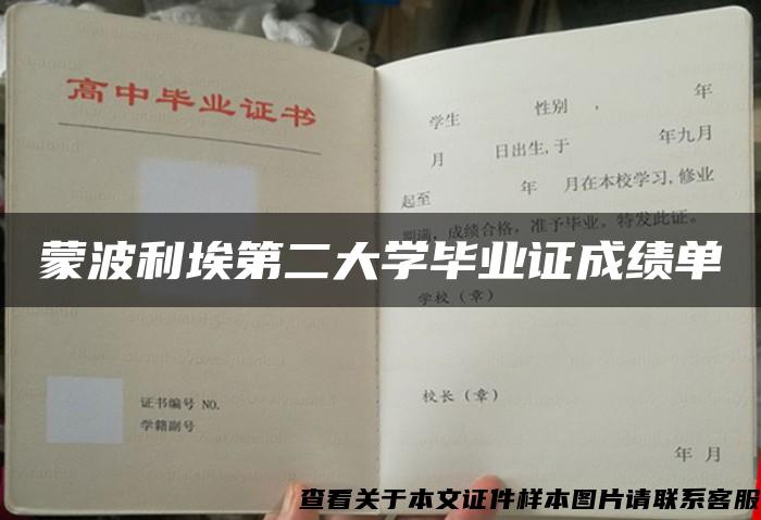 蒙波利埃第二大学毕业证成绩单