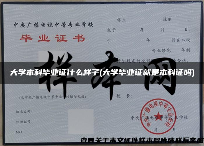 大学本科毕业证什么样子(大学毕业证就是本科证吗)