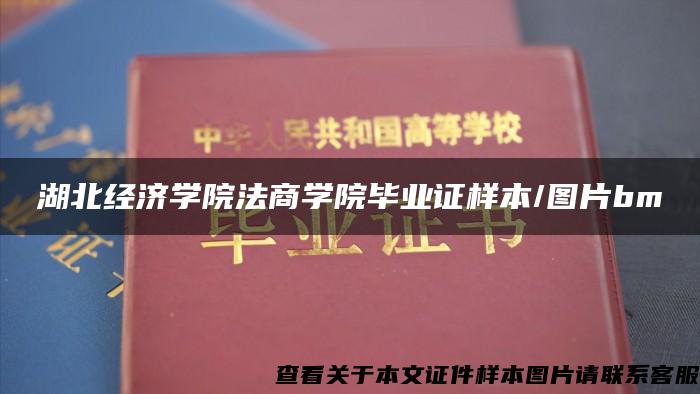 湖北经济学院法商学院毕业证样本/图片bm