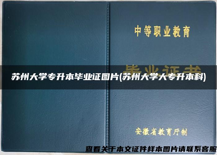 苏州大学专升本毕业证图片(苏州大学大专升本科)