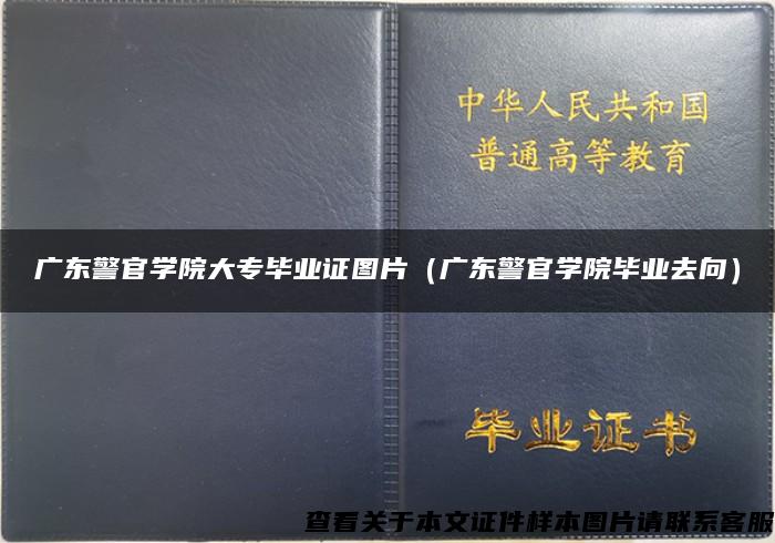 广东警官学院大专毕业证图片（广东警官学院毕业去向）