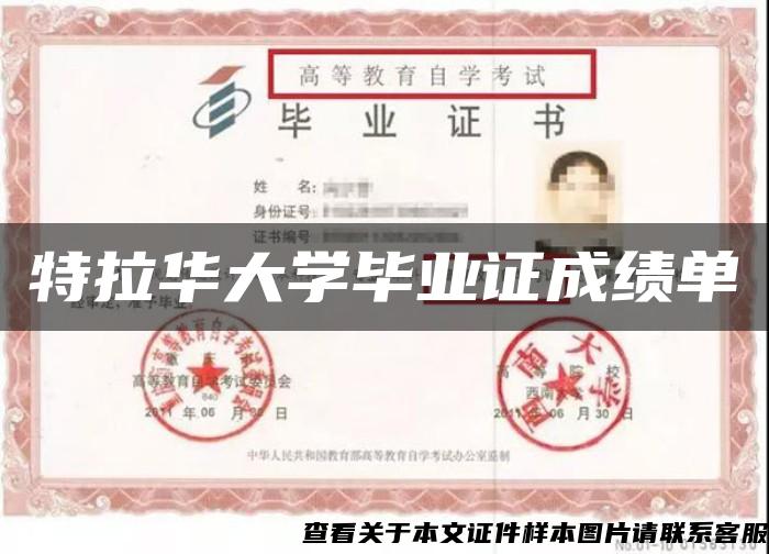 特拉华大学毕业证成绩单