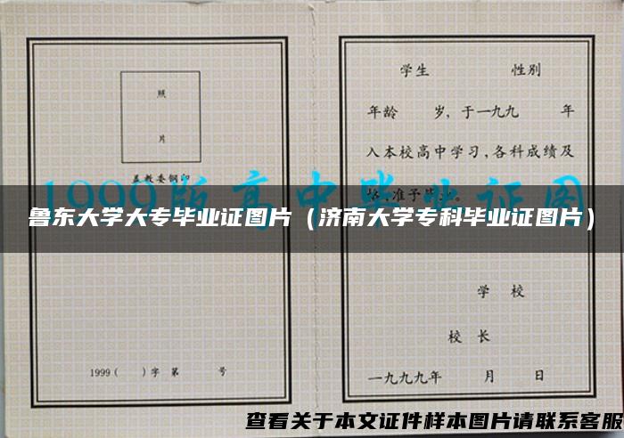 鲁东大学大专毕业证图片（济南大学专科毕业证图片）