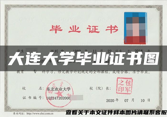 大连大学毕业证书图