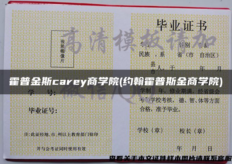 霍普金斯carey商学院(约翰霍普斯金商学院)