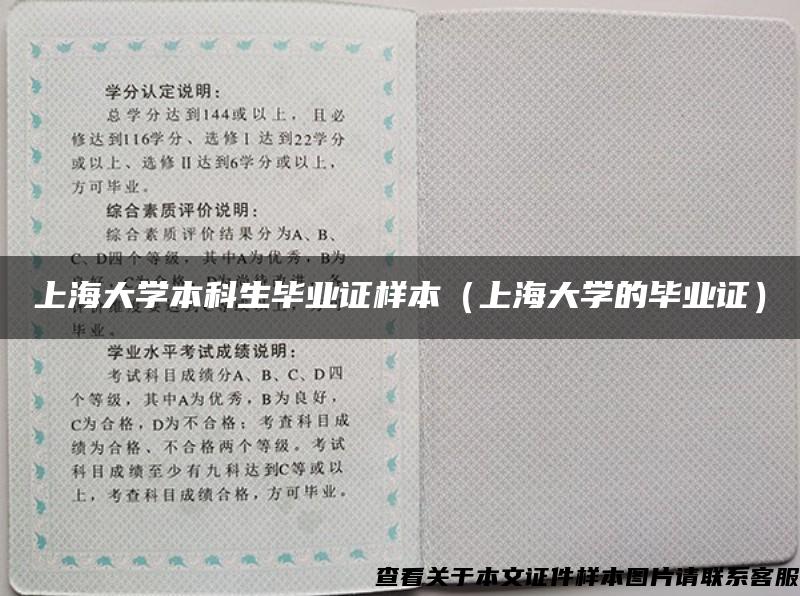 上海大学本科生毕业证样本（上海大学的毕业证）