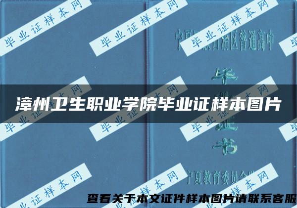 漳州卫生职业学院毕业证样本图片