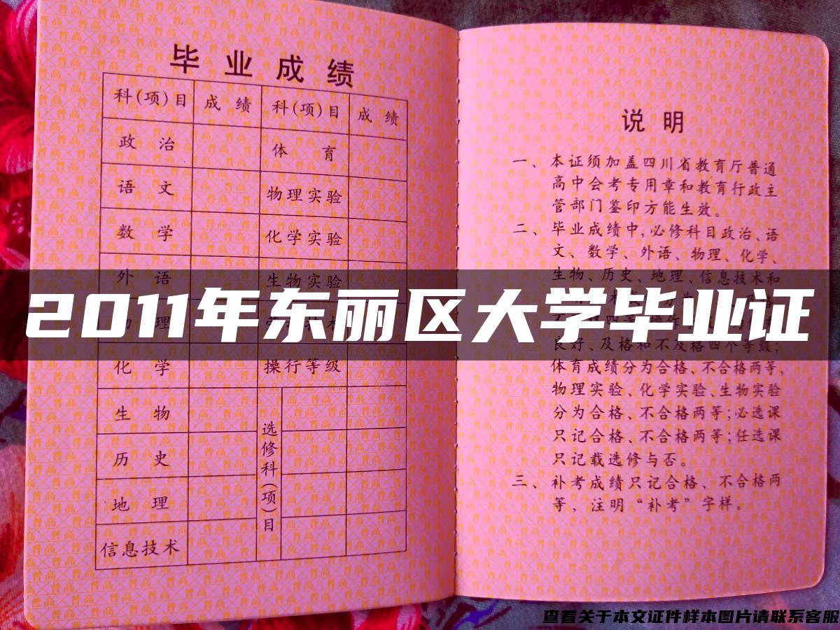 2011年东丽区大学毕业证