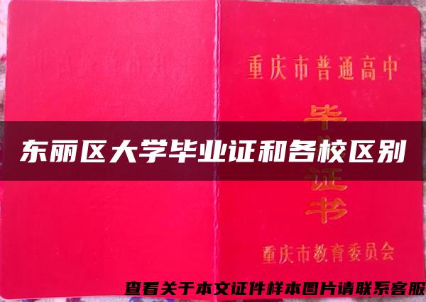 东丽区大学毕业证和各校区别