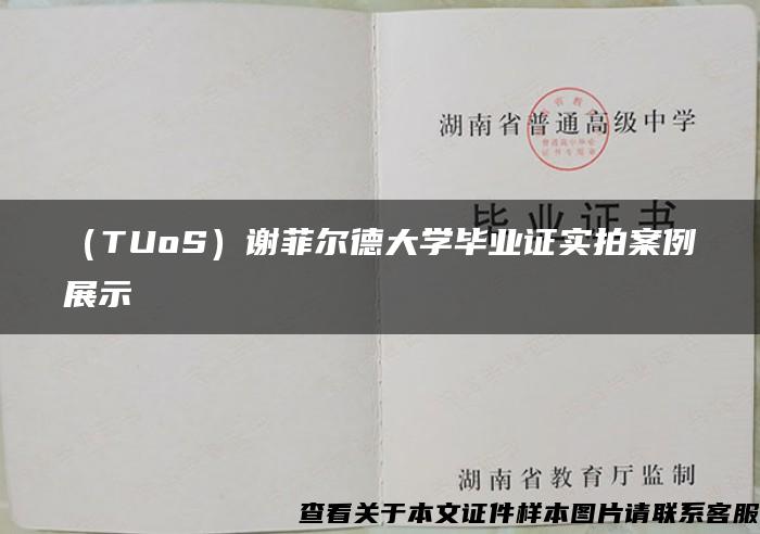 （TUoS）谢菲尔德大学毕业证实拍案例展示