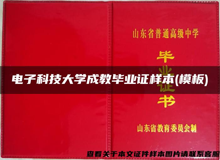 电子科技大学成教毕业证样本(模板)