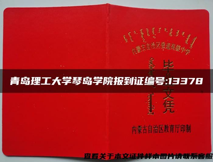 青岛理工大学琴岛学院报到证编号:13378