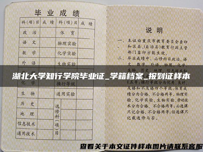 湖北大学知行学院毕业证_学籍档案_报到证样本