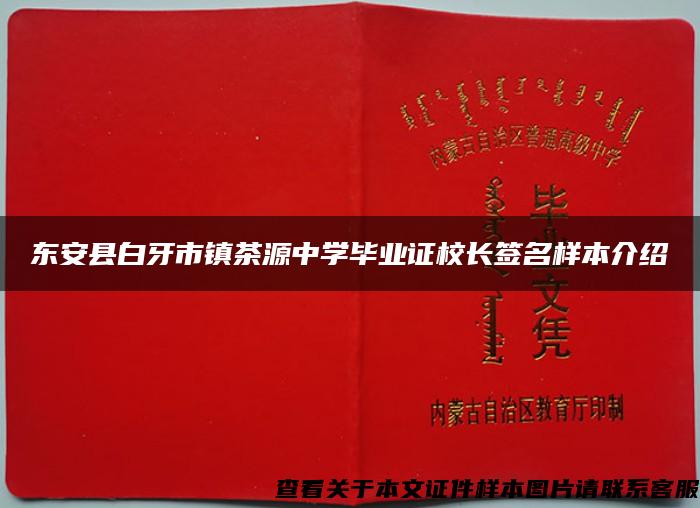 东安县白牙市镇茶源中学毕业证校长签名样本介绍