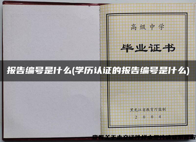 报告编号是什么(学历认证的报告编号是什么)