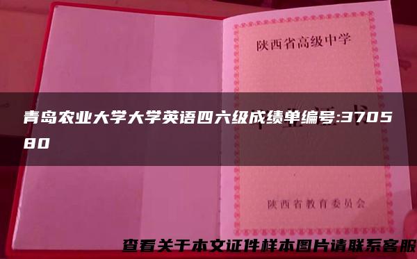 青岛农业大学大学英语四六级成绩单编号:370580