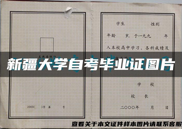 新疆大学自考毕业证图片