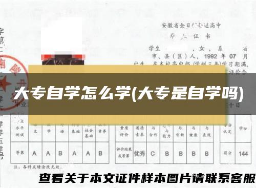 大专自学怎么学(大专是自学吗)