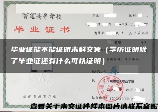 毕业证能不能证明本科文凭（学历证明除了毕业证还有什么可以证明）