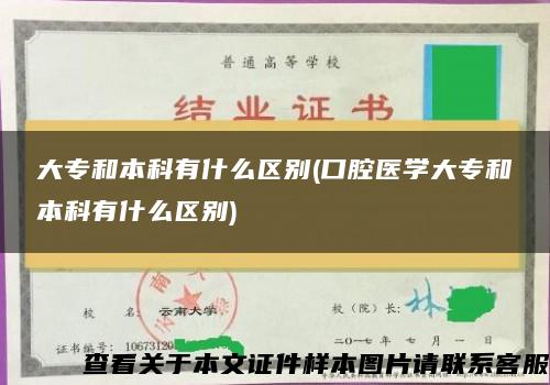 大专和本科有什么区别(口腔医学大专和本科有什么区别)