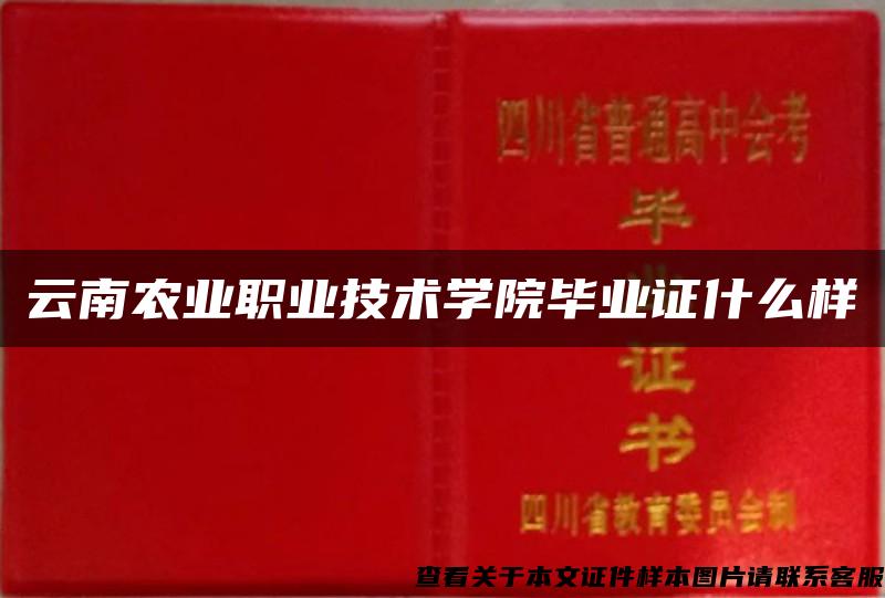 云南农业职业技术学院毕业证什么样