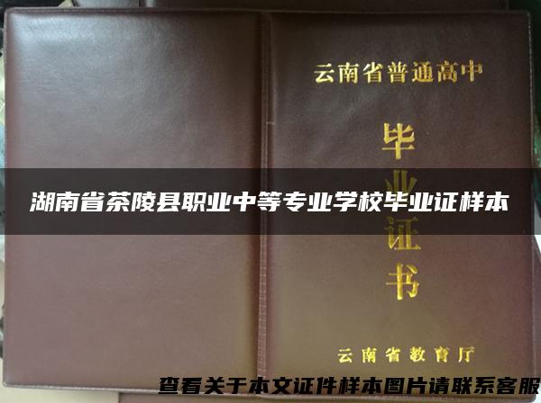 湖南省茶陵县职业中等专业学校毕业证样本