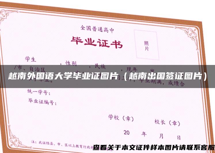 越南外国语大学毕业证图片（越南出国签证图片）