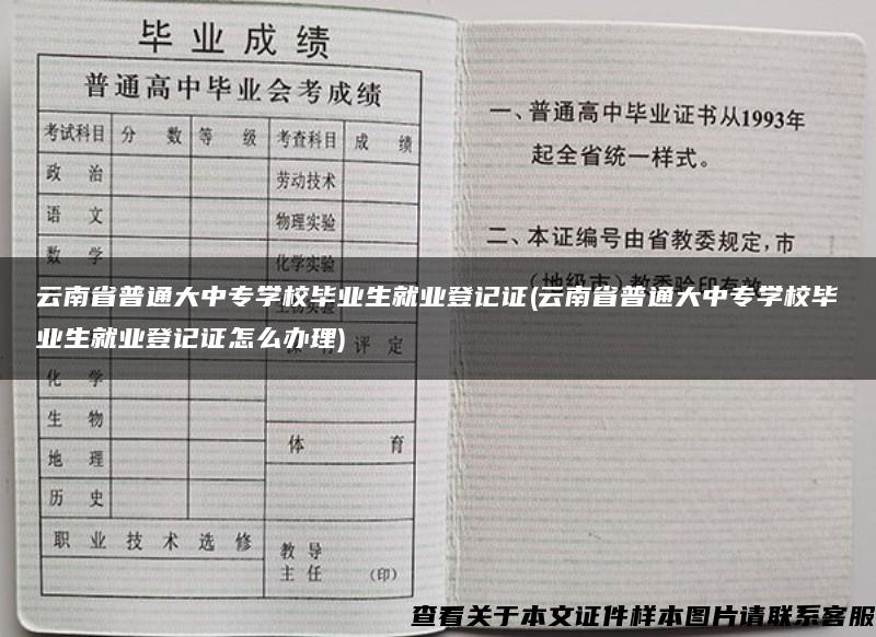 云南省普通大中专学校毕业生就业登记证(云南省普通大中专学校毕业生就业登记证怎么办理)