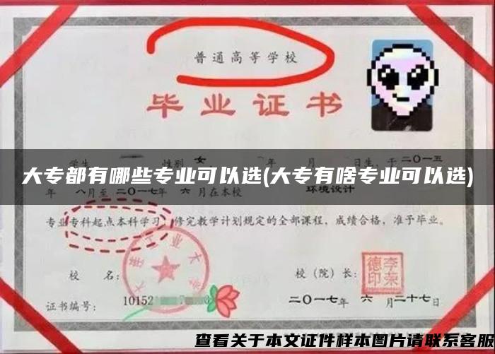 大专都有哪些专业可以选(大专有啥专业可以选)