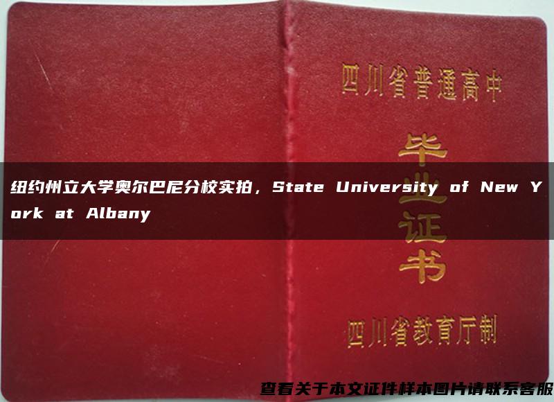 纽约州立大学奥尔巴尼分校实拍，State University of New York at Albany