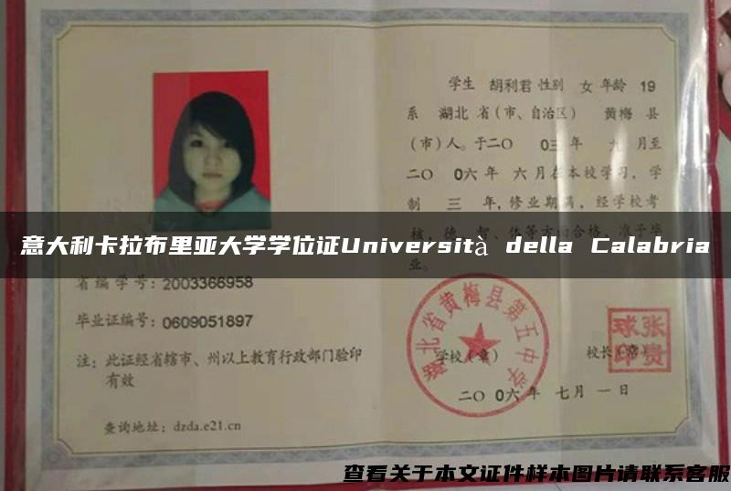 意大利卡拉布里亚大学学位证Università della Calabria