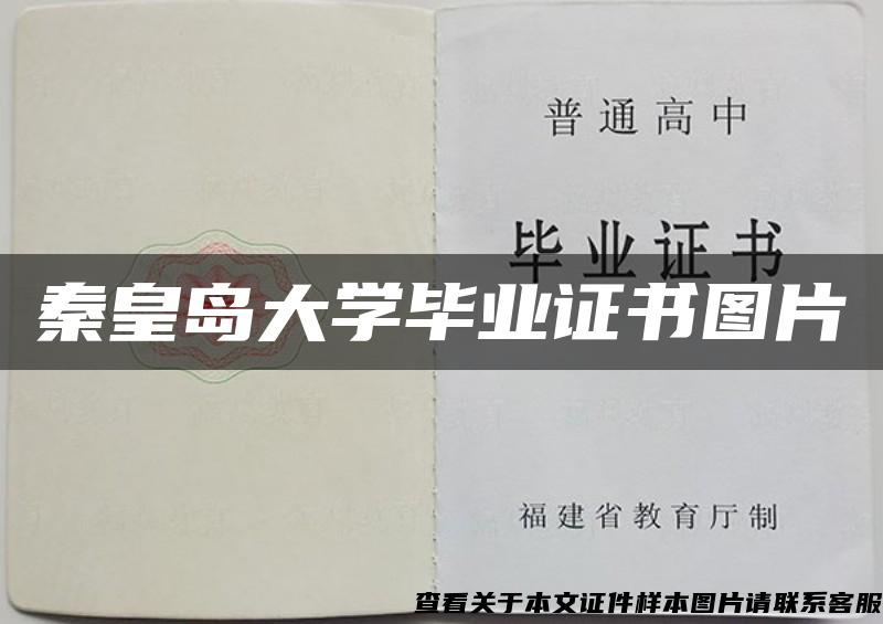 秦皇岛大学毕业证书图片