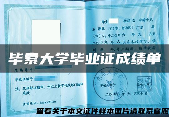 毕索大学毕业证成绩单