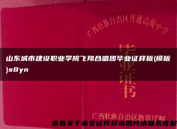 山东城市建设职业学院飞翔合唱团毕业证样板(模板)s8yn