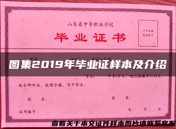 图集2019年毕业证样本及介绍