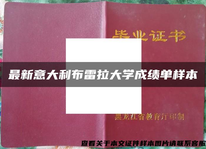 最新意大利布雷拉大学成绩单样本