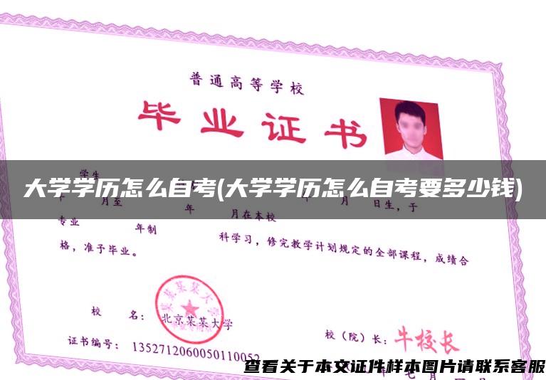 大学学历怎么自考(大学学历怎么自考要多少钱)