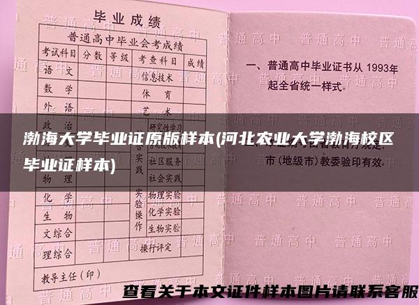 渤海大学毕业证原版样本(河北农业大学渤海校区毕业证样本)