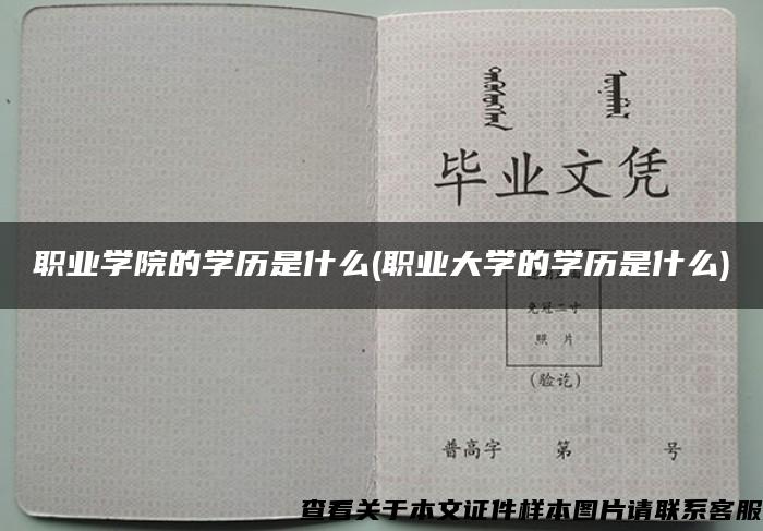 职业学院的学历是什么(职业大学的学历是什么)