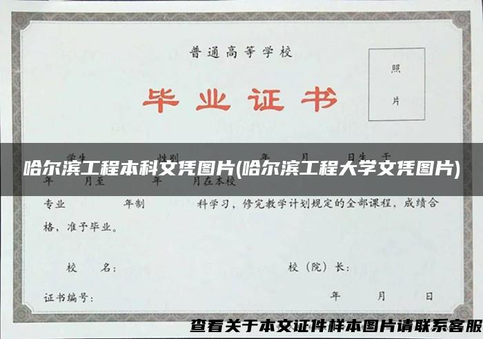 哈尔滨工程本科文凭图片(哈尔滨工程大学文凭图片)